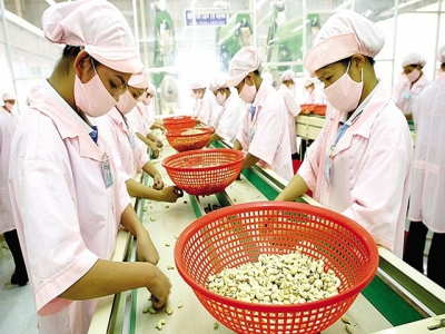 Agri-trade to blossom through EVFTA