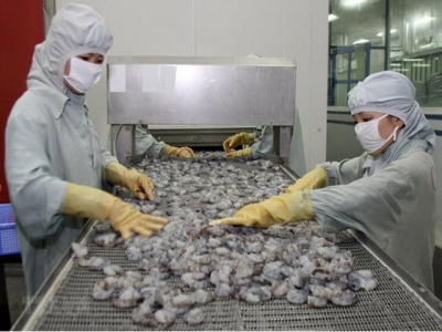 Shrimp exports slide further in 2019, better outlook expected next year