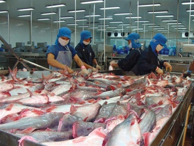 Seafood firm Vĩnh Hoàn to pay dividend in shares