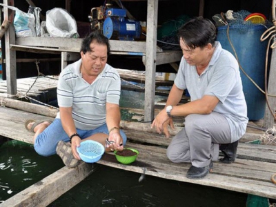 Bí quyết làm giàu - Thu lãi hàng trăm triệu từ nuôi cá lồng bè