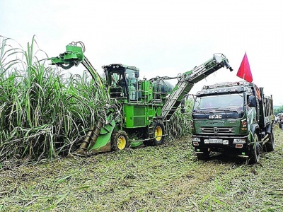 Thai sugar beats domestic supply