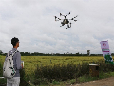 Đồng Tháp holds ceremony for first advanced rice farming project