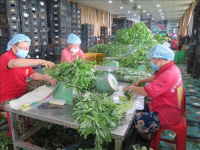 Ho Chi Minh City promotes local agricultural produce at affordable prices