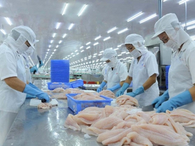 Pangasius exports to Brazil increased sharply