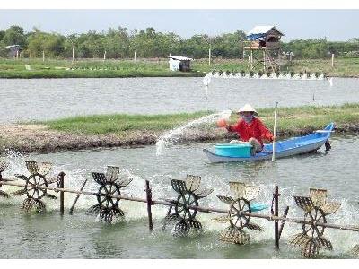 Hội Nghị Aquaculture America Thảo Luận Nhiều Giải Pháp Kiểm Soát EMS