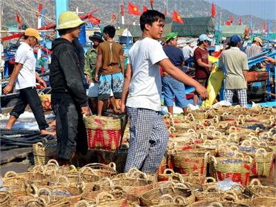 Đầu Năm, Ngư Dân Ra Khơi Khai Thác Hải Sản