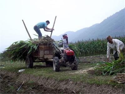 Chủ Động Cho Gieo Trồng Vụ Xuân