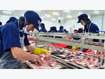 Seafood sector aims high despite barriers in international market