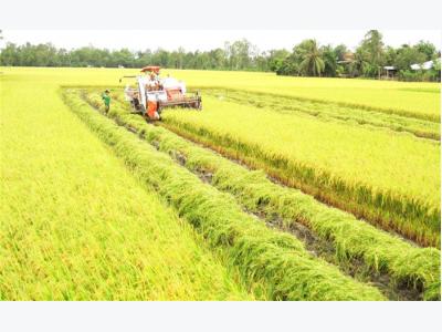 Agriculture ministry backs cooperatives to build material zones