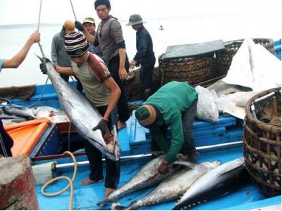 Get Japan to remove tuna import duty: exporters