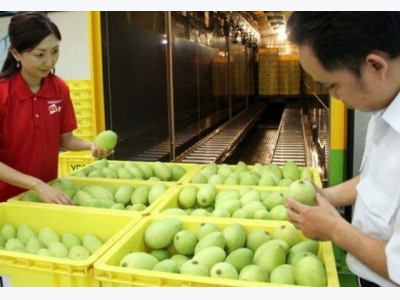 Vietnam earns US$13 million from fruit and veg exports each day as Tet nears