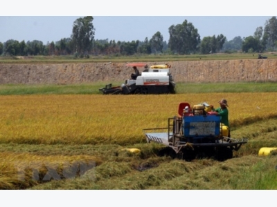 Mekong Delta seeks to turn agriculture challenges into opportunities