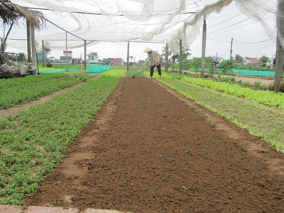 Central province approves hi-tech farms