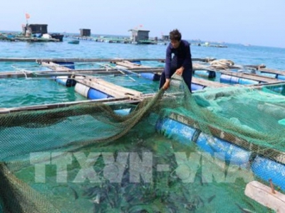 Aquaculture sector looks to sustainable development