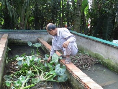 Đồng Tháp: Nuôi lươn trong bể xi măng cho lãi cao