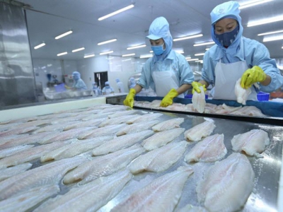 Tra fish exports surge to set new record