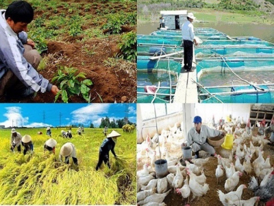 Vietnams agriculture continues to grow in 2019