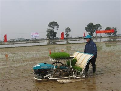 Thời Tiết Khắc Nghiệt, Vẫn Hoàn Thành Gieo Cấy Vụ Xuân