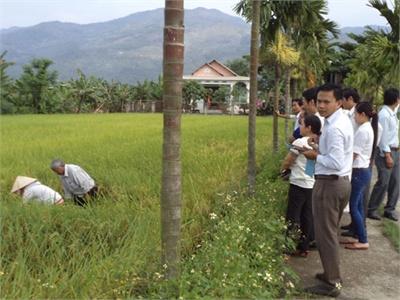 Tái Cơ Cấu, Hướng Đến Phát Triển Nông Nghiệp Bền Vững