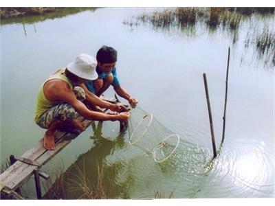 Giải Pháp Tăng Năng Suất Tôm - Cua - Cá