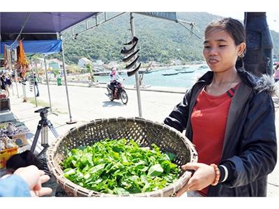 Thêm Thu Nhập Nhờ... Lá Rừng