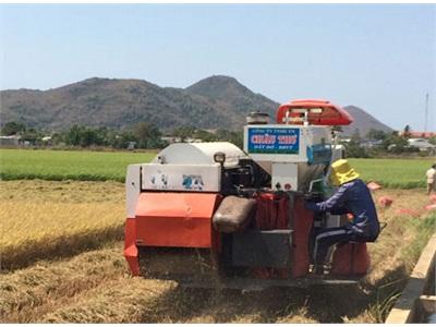 Cơ Giới Hóa Nông Nghiệp Mới Tập Trung Ở Những Vùng Có Điều Kiện