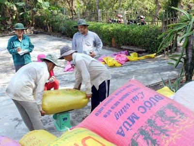 Giá lúa tăng 300 đồng/kg