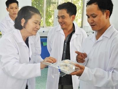 Ra mắt sản phẩm nấm rơm sạch Cỏ May