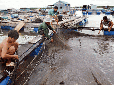 Bà Rịa Vũng Tàu tập huấn kiến thức về pháp luật và nuôi trồng thủy sản