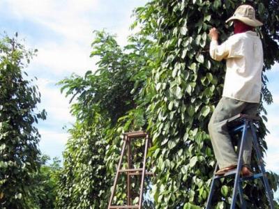 Làng Plei Lao tiễn biệt những ngày buồn