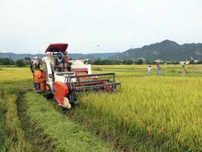 VN agricultural sector urged to modernise technology