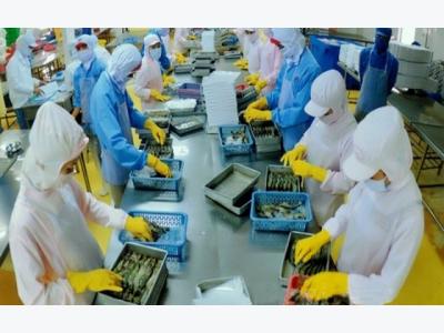 Shrimp exports expected to reach US$5 billion by 2020