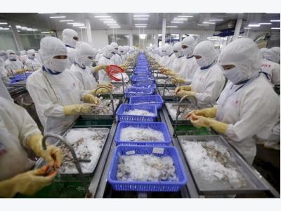 Australian ban on Vietnamese shrimp could drown exporters - trade official