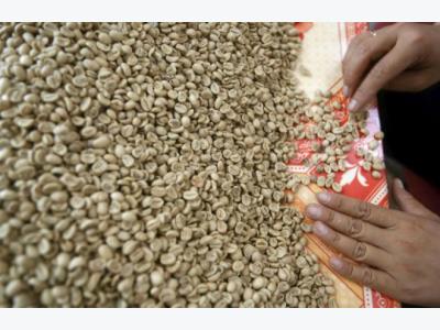 India, Vietnam lift import bans on coffee, pepper and other agro-products