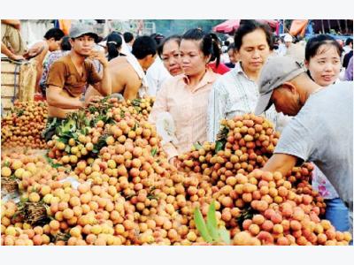 Fruit, veggie exports overtaking rice