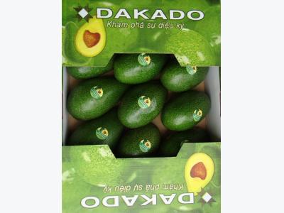 Dak Lak avocado targets world market