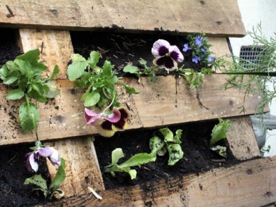 How to Make a Pallet Garden