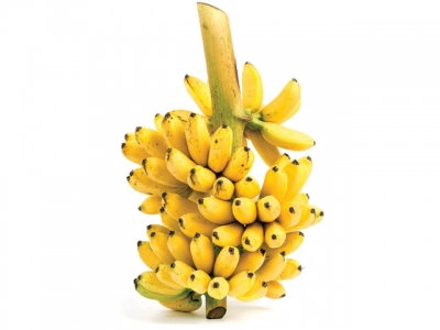 Cropped: Bananas