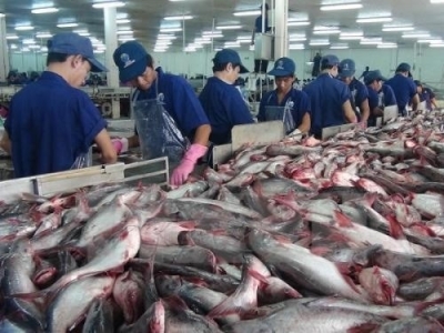 Tra fish prices hit record high amid material shortages