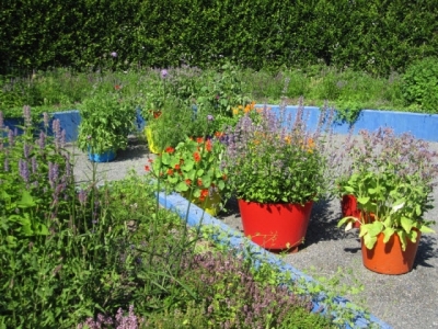 How to Grow Fruits, Vegetables, and Herbs in a Container Garden