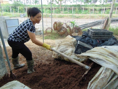 10 Lợi ích khi bón phân hữu cơ