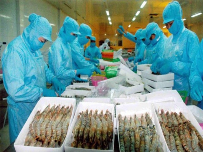 Shrimp exports expected to increase to more than $4 billion this year