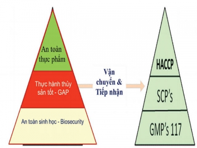 Dịch bệnh trên tôm