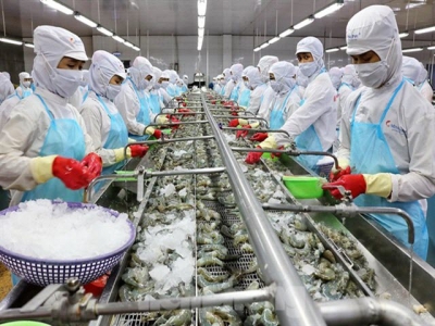 Minh Phú Seafood shares fall on investigation of tax evasion