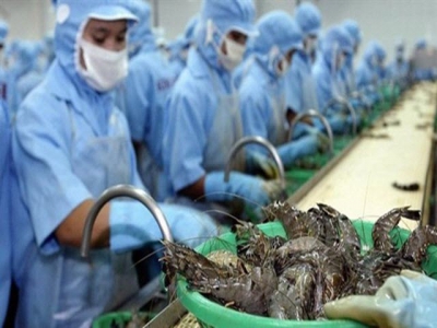 Shrimp exports to Australia rise strongly in 2019