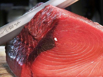 Tuna exports fell after two months of consecutive growth