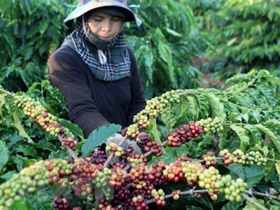 RoK, Japan look to boost agricultural exports to Vietnam