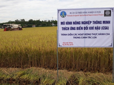 Farmers benefited from the irrigated agriculture improvement project