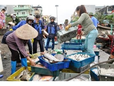 Quảng Ninh Khai Thác Thuỷ Sản Những Tháng Đầu Năm Sản Lượng Khá, Giá Ổn Định