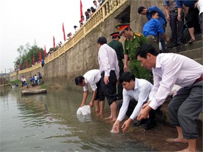 Thả Hàng Trăm Nghìn Cá Giống